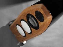 Marten Coltrane Tenor