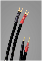 Armonico Speaker Jumpers